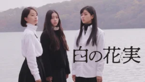 白の花実